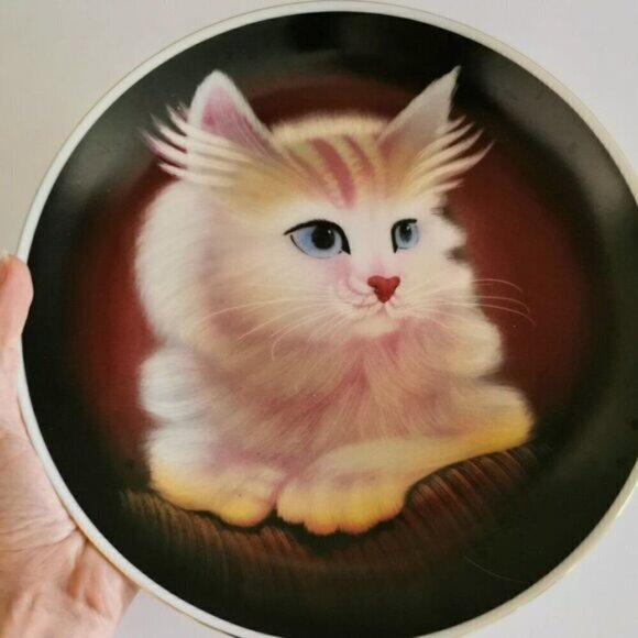 Serious Cat Portrait Plate, Collectible China Plate Persian Kitten Glamor Shot - Picture 1 of 6